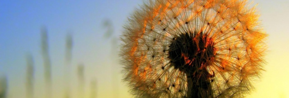 Teatralne Spięcie - "Romeo i Julia"