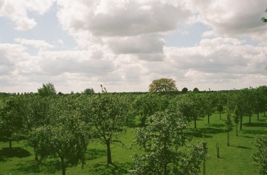 miniaturka konspektu Wyprawa do sadu
