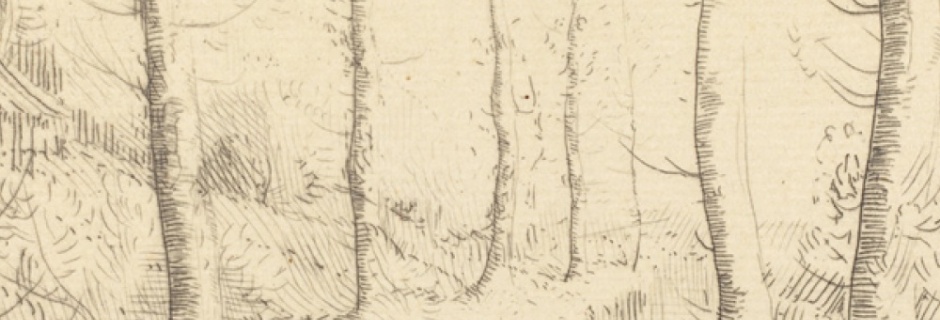 Drzewo ‒ cz. 4.  Próby literackie