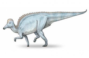 miniaturka konspektu "Dinotopia"