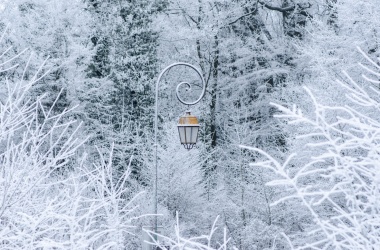 miniaturka konspektu Historia nie do uwierzenia? ("Opowieści z Narnii: Lew, czarownica i stara szafa” C.S. Lewisa)
