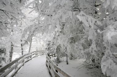 miniaturka konspektu Powrót z pałacu Królowej Śniegu