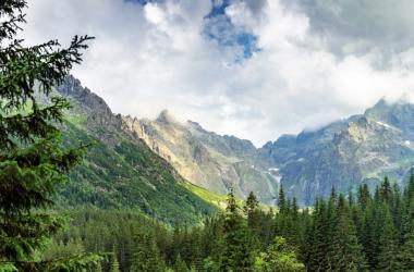 miniaturka konspektu Tetmajer i Tatry ("Melodia mgieł nocnych") 