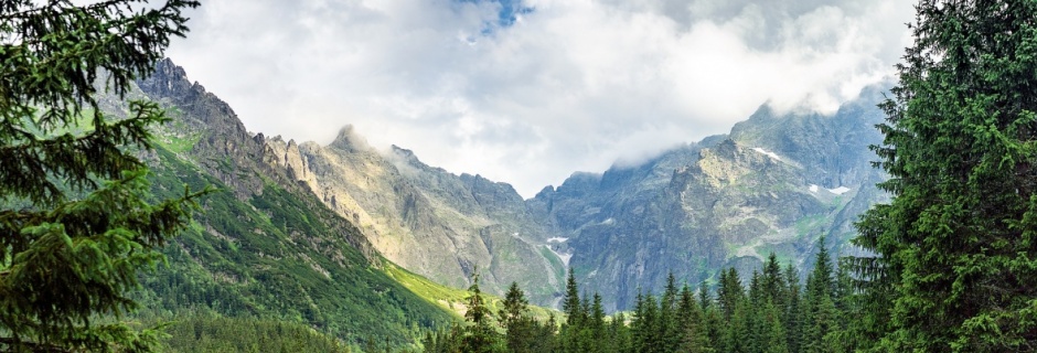 Tetmajer i Tatry ("Melodia mgieł nocnych")