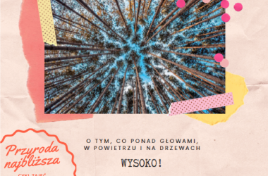 miniaturka konspektu Wysoko (o tym, co ponad głową, w powietrzu i na drzewach)