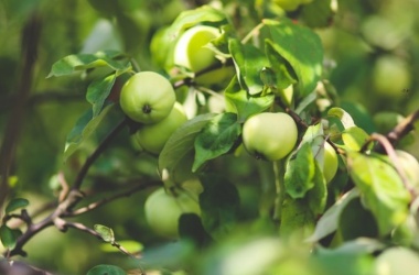 miniaturka konspektu Dojrzały obywatel? – rozmowy wokół powieści "Przedwiośnie” Stefana Żeromskiego