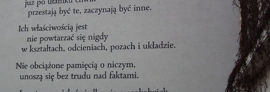 Dyskusje o noblistce – Wisława Szymborska i jej twórczość